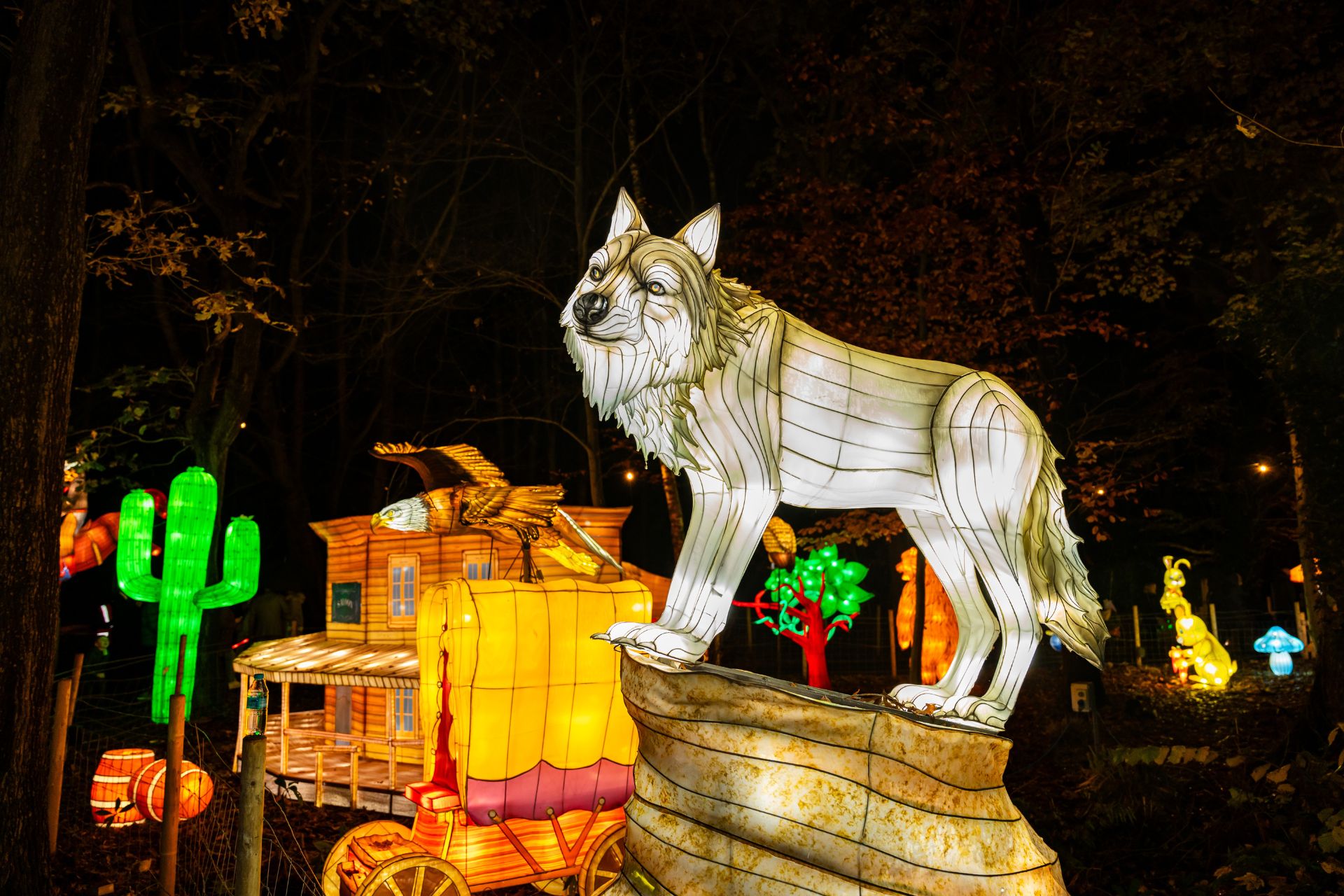 Land Of Lights (6)